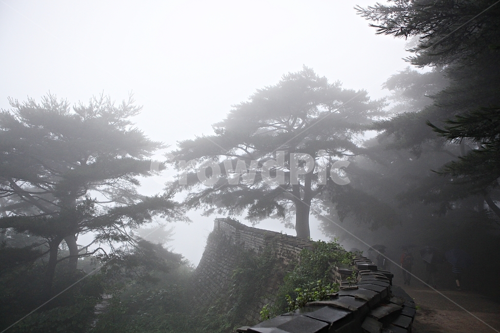 남한산성,성,성곽,길,둘레길,숲,숲길,안개,담,돌담