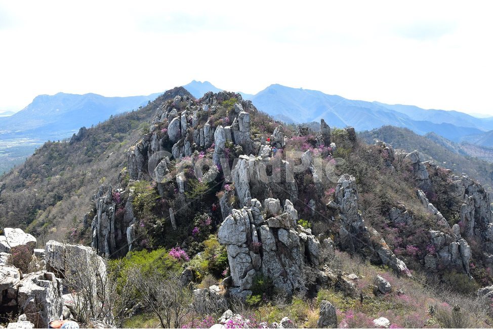 주작산,덕룡산,종주,진달래,풍경,기암,바위,비경,봄풍경,진달래꽃,강진,명산,산행,등산,마운틴,힐링,mountain,landscape,자연,natural,봄,계절,spring,season,자연,풍경,nature,landscape,한국자연풍경,한국자연경관,korea nature landscape,outdoors,옥외