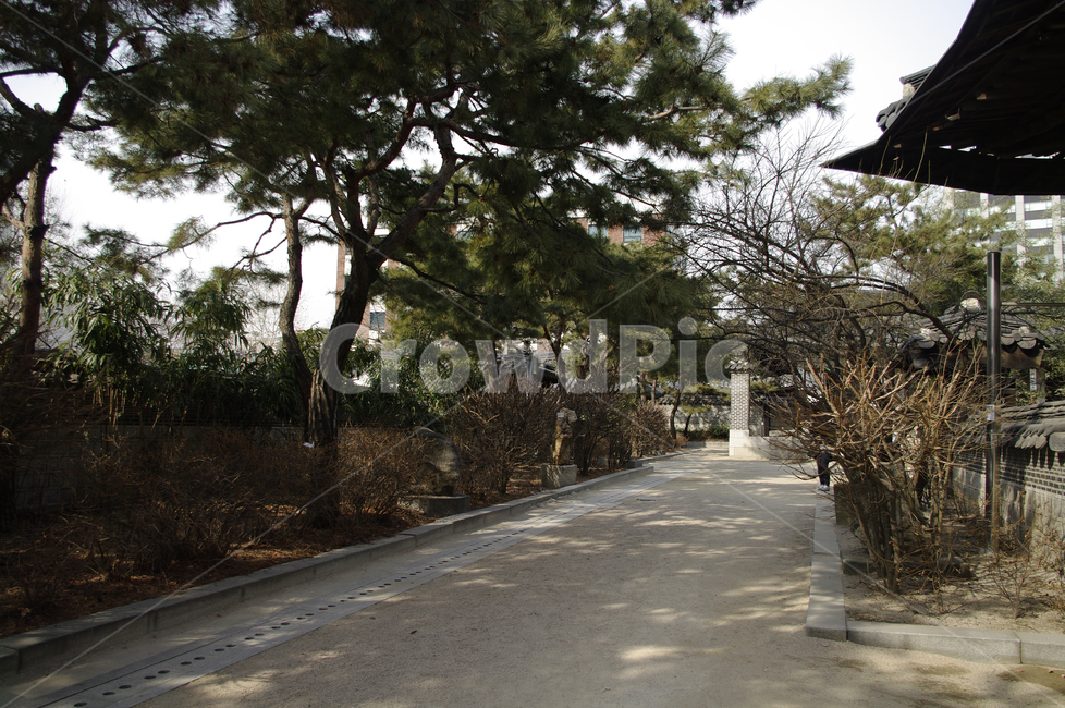 전통가옥,한옥,건축,기와지붕,tradition,나무