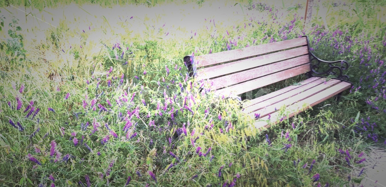 의자,풍경,빈티지,감성사진,산책,chair,scene,takeawalk,vintage
