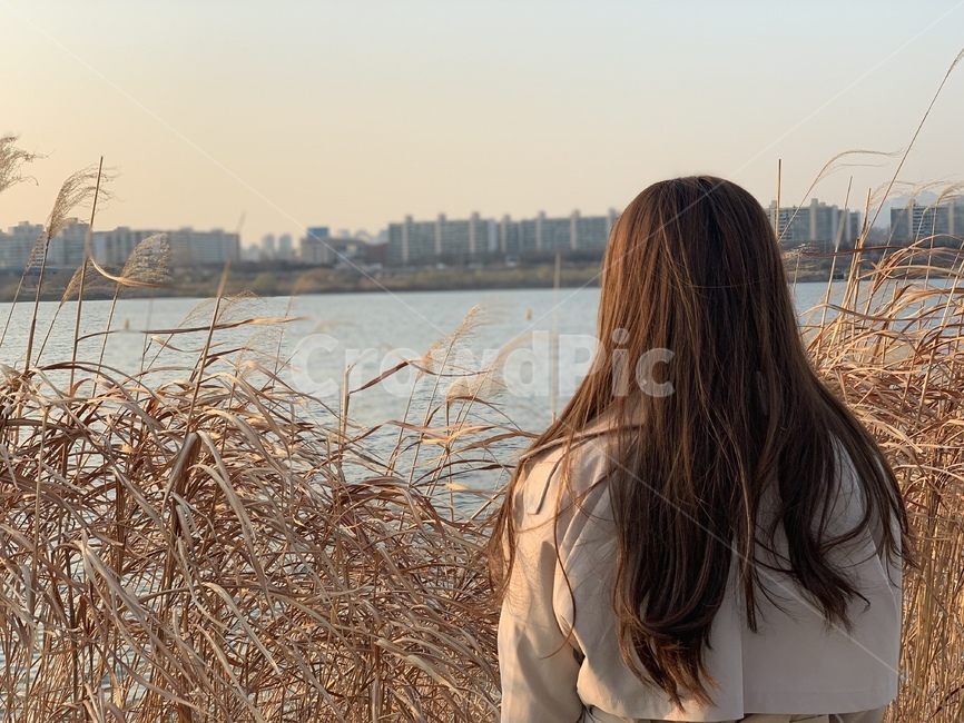 가을,힐링,한강,노을,갈대,가을,계절,fall,autumn,season,사람,인물,인간,human,person,여성,여자,woman,female,lady,고독함,외로움,쓸쓸함,우울함,슬픔,lonely,solitary,sleeve,소매