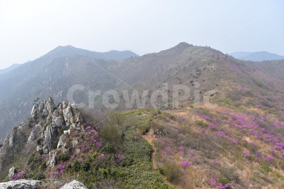 주작산,덕룡산,진달래,풍경,기암,바위,비경,봄풍경,분홍색,진달래꽃,강진,명산,산행,등산,마운틴,자연,풍경,nature,landscape,봄,계절,spring,season,wilderness,황야,outdoors,옥외