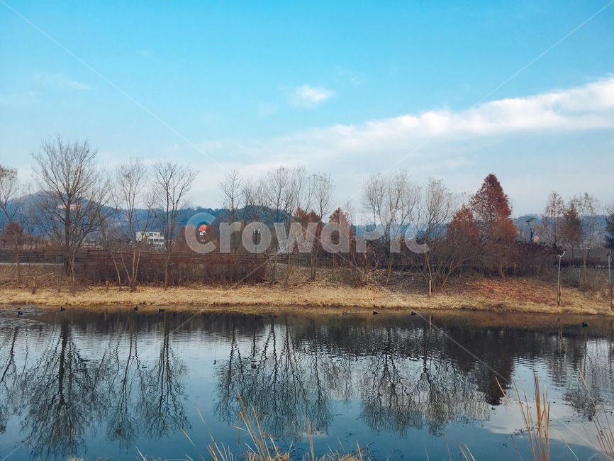 nature,자연,water,물,land,땅,outdoors,옥외