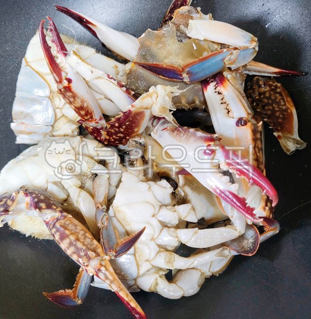 꽃게,게,꽃게탕재료,음식,식재료,해물,헤산물,재료,seafood,crab,food