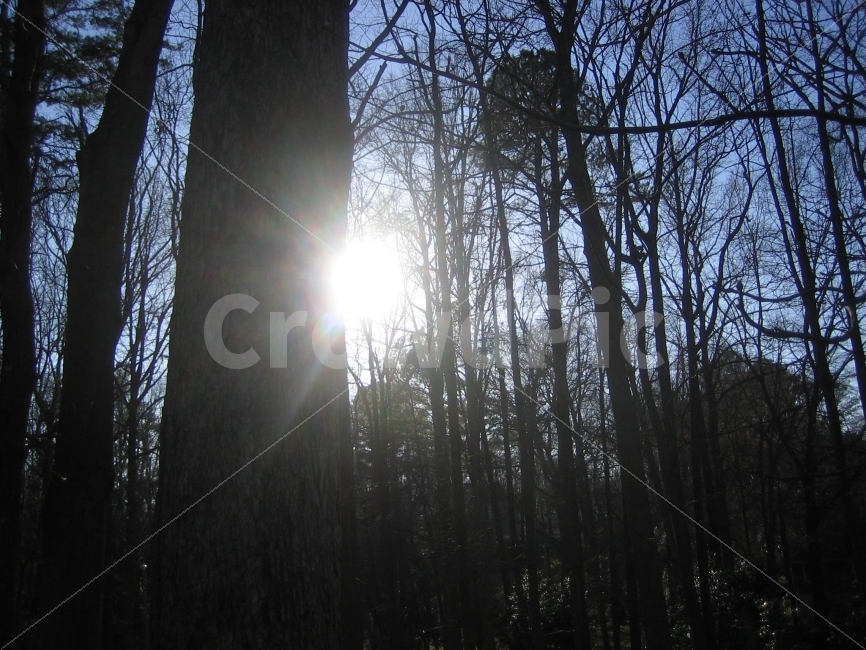 sunlight,autumn,loneliness,Stone Mountain,atlanta