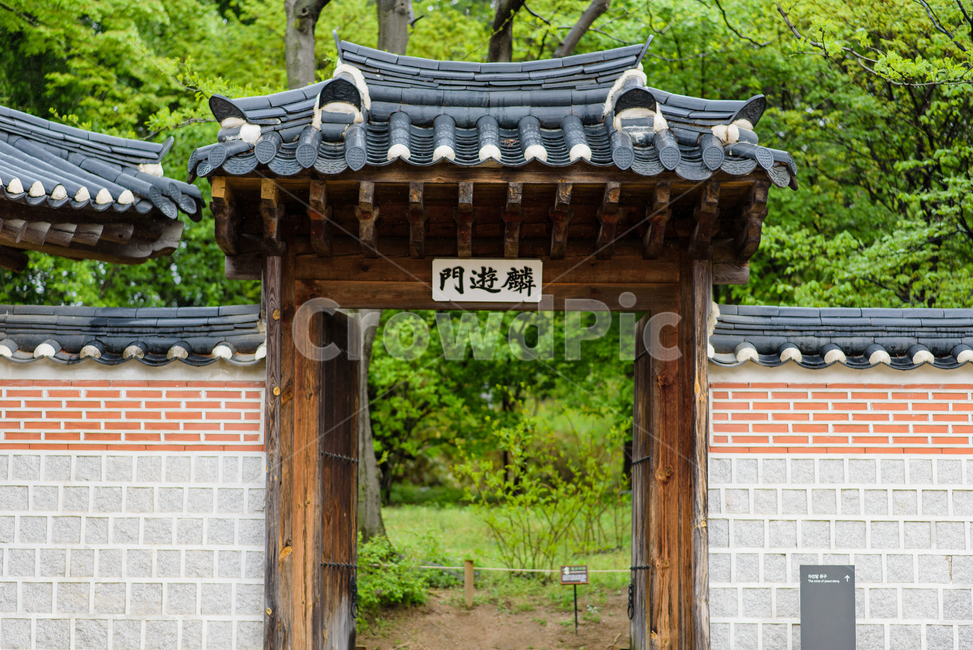 정자,garden,정원,outdoors,옥외,경복궁,초록색,자연,문,한옥,한국전통,한국문화,korean traditional,korean culture,건축물,건물외관,exterior,building,structure,architecture,construction