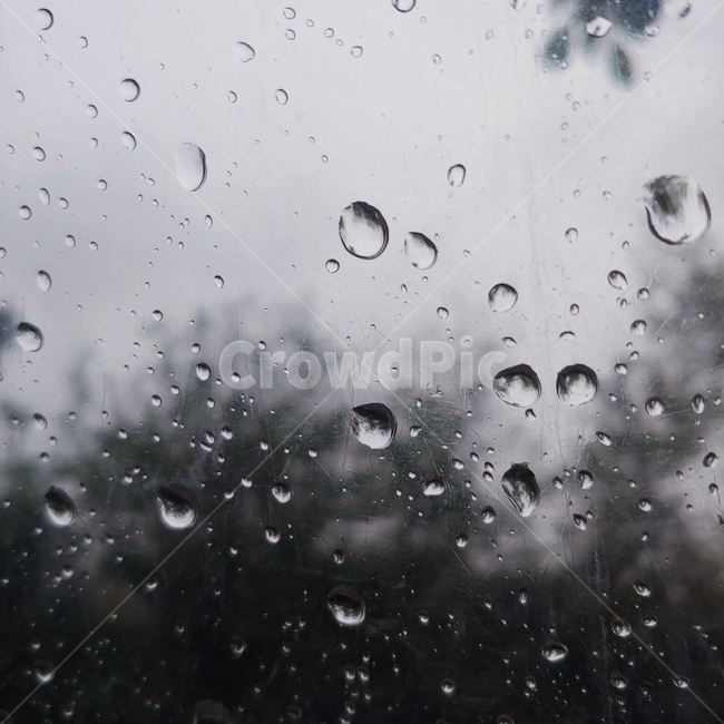droplet,작은물방울,rain,비,우산