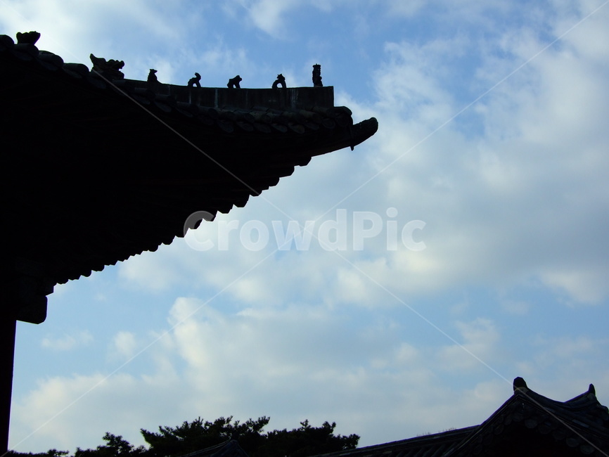 고궁,하늘,나무,풍경,역광,한국전통,한국문화,korean traditional,korean culture,건축물,건물외관,exterior,building,structure,architecture,construction