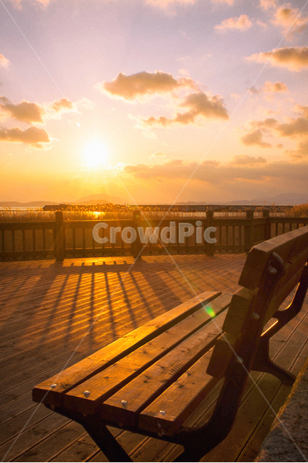 바다,일몰,갯벌,만,풍경,자연,하늘,구름,태양,해,햇빛,해안,바닷가,갈대,sea,sunset,sunfall,sunlight,bay,nature,landscape,sky,cloud,sun,항구,port,의자,bench,자연,풍경,nature,landscape,한국자연풍경,한국자연경관,korea nature landscape,휴식,힐링,rest,relaxation,healing,wood,나무