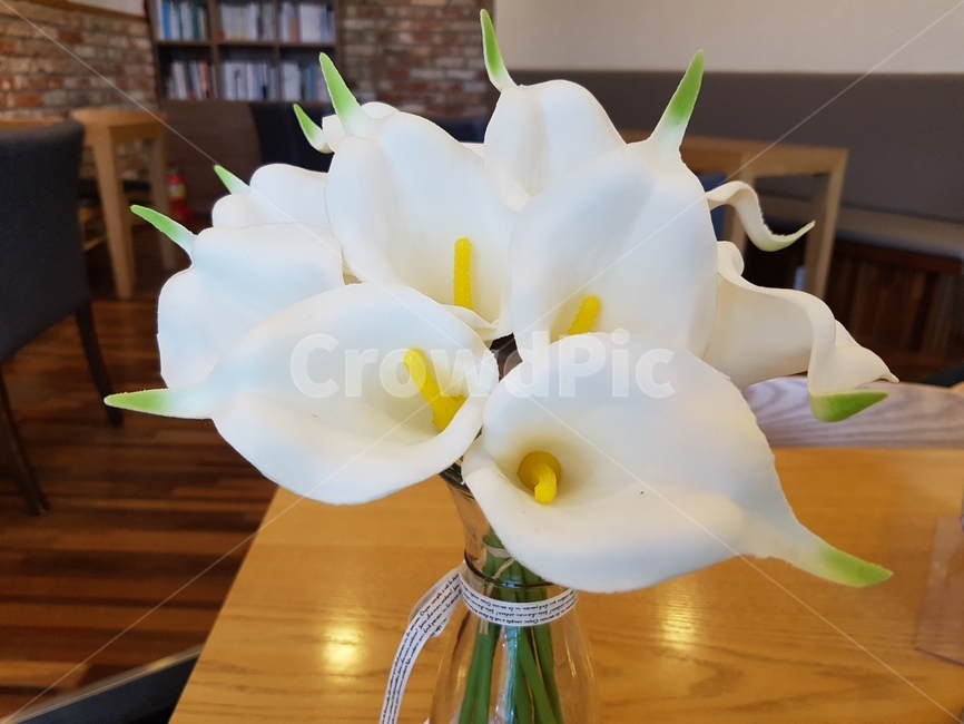 꽃,칼라,calla,하얀색,부케