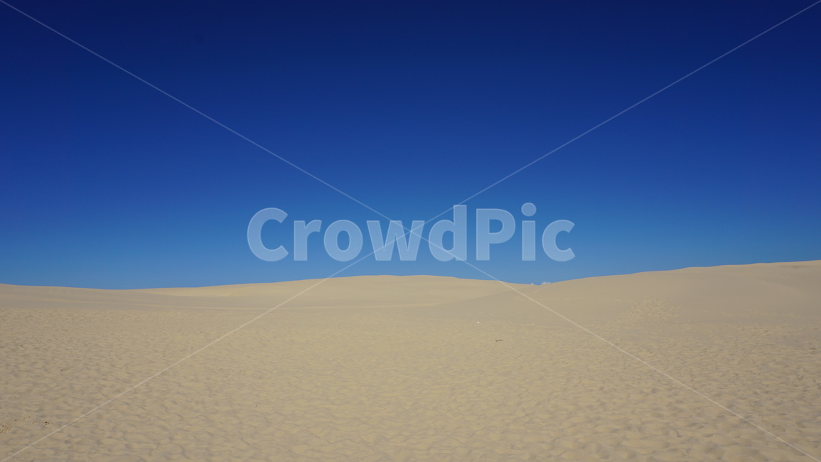 soil,흙,sand,모래,nature,자연,outdoors,옥외,모래언덕,사막,사구,시드니,호주,하늘,자연,풍경,nature,landscape