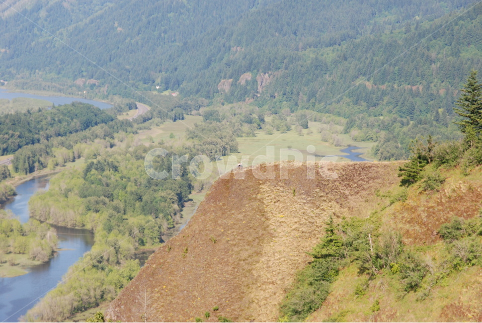 자연,나무,강,언덕,흙,earth,nature,trees,river,hill