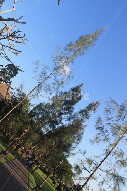 인도네시아,발리,힌두교,힌두,힌두사원,자연,녹색,indonesia,bali,temple,사원,hindu,hinduism,hindutemple,green,sky,blue,bluesky,하늘,파란하늘,푸른하늘,나무,tree,plant,식물