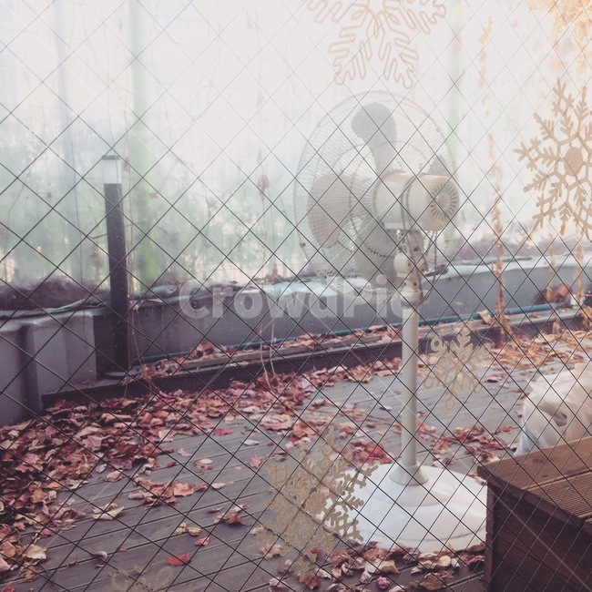 atmosphere,filter,Fan,emotion,mood,old atmosphere,era,past,old days,reminiscence,old sensibility