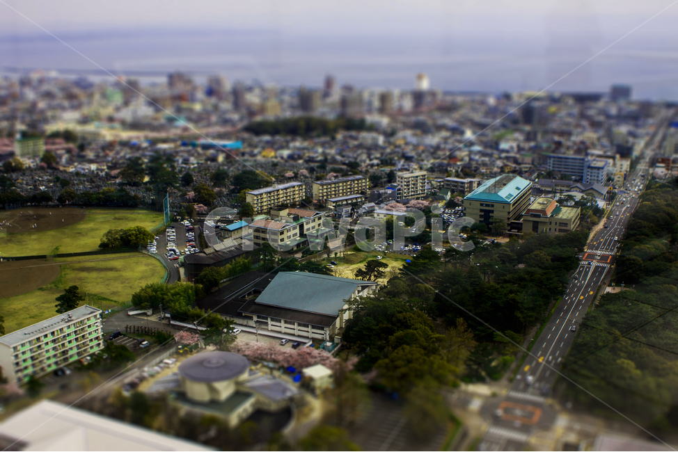 도시,풍경,urban,landscape,도시풍경,도시,풍경,city,landscape,한국도시풍경,한국도시경관,korea cityscape,경치,outdoors,옥외,nature,자연,scenery,road,도로,aerial view,조감도