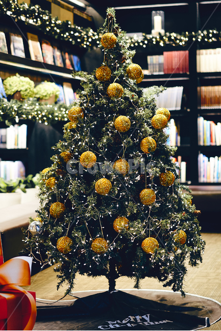 tree,나무,christmastree,크리스마스트리,ornament,장식,plant,식물,크리스마스,christmas,감성,겨울,계절,winter,season,메리크리스마스,성탄절,merry christmas