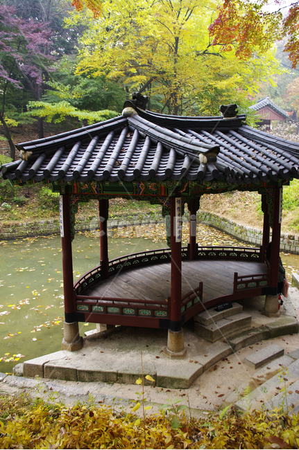 창덕궁후원,관람정,고궁,건축,전통건축,traditional,전통,가을,fall,나무,식물,plant,단풍,잎,한국전통,한국문화,korean traditional,korean culture,건축물,건물외관,exterior,building,structure,architecture,construction