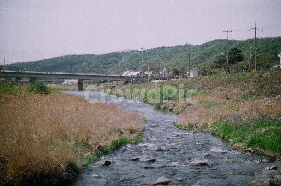 산,전봇대,나무,시골,갈대,돌,바위,강물,강,하천,시골,마을,풍경,landscape,country,rural,town,감성,sensible,feeling