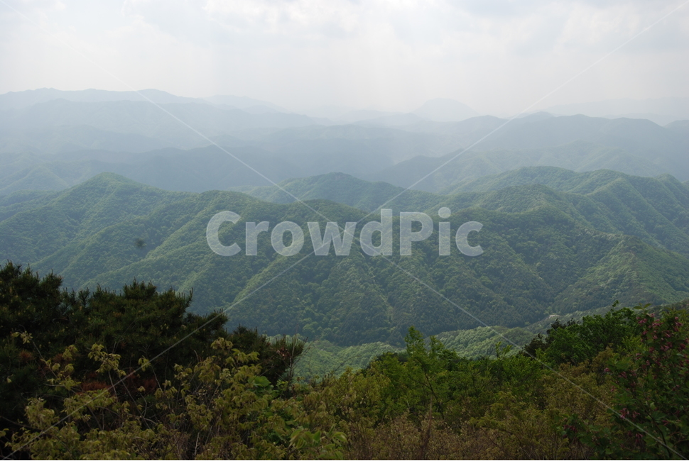 진악산,금산군,공원,탐방로,자연,자연,풍경,nature,landscape,한국자연풍경,한국자연경관,korea nature landscape,mountain,산,mountain range,산맥,outdoors,옥외