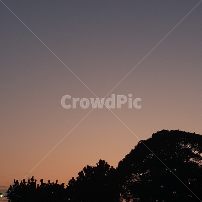 노을,나무,어두움,그라데이션,실루엣,nature,자연,옥외,silhouette,풍경,계절,봄,여름,가을,겨울제주,제주풍경
