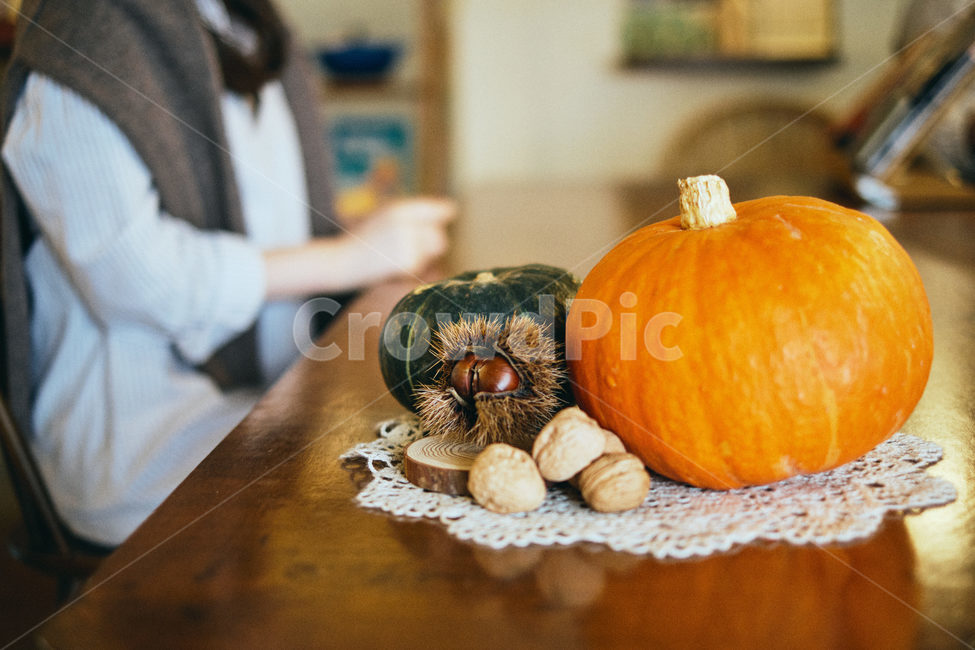 plant,식물,food,음식,할로윈,밤,가을,호박,가을,계절,fall,autumn,season
