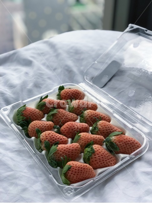 딸기,만년설딸기,호텔,과일,음식,strawberry,fruit,식물