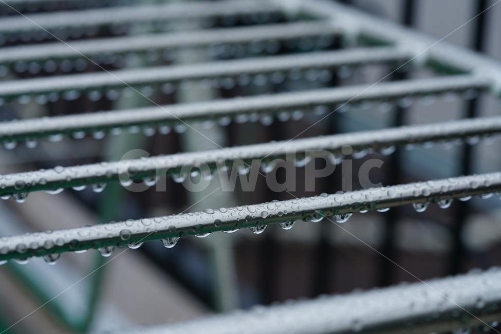 	물방울,빗물,비,물,접사,감성,감성사진,느낌,풍경,비오는날,레인,rain,옷걸이,빗소리,워터,일상,풍경사진,감정,비,비오는날,rain,rainy,감성,sensible,feeling