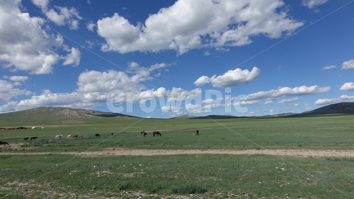 자연,blue,green,하늘,sky,벌판,초원,nature,field,몽골,몽고,MONGOLIA