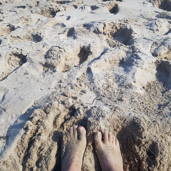 여름,모래사장,발,모래,여유
