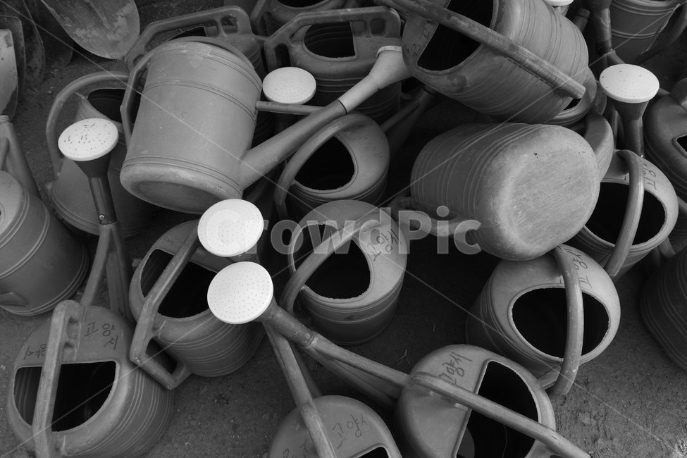 흑백,물,분무기,물조리,텃밭,흑백,모노톤,monochrome,black and white