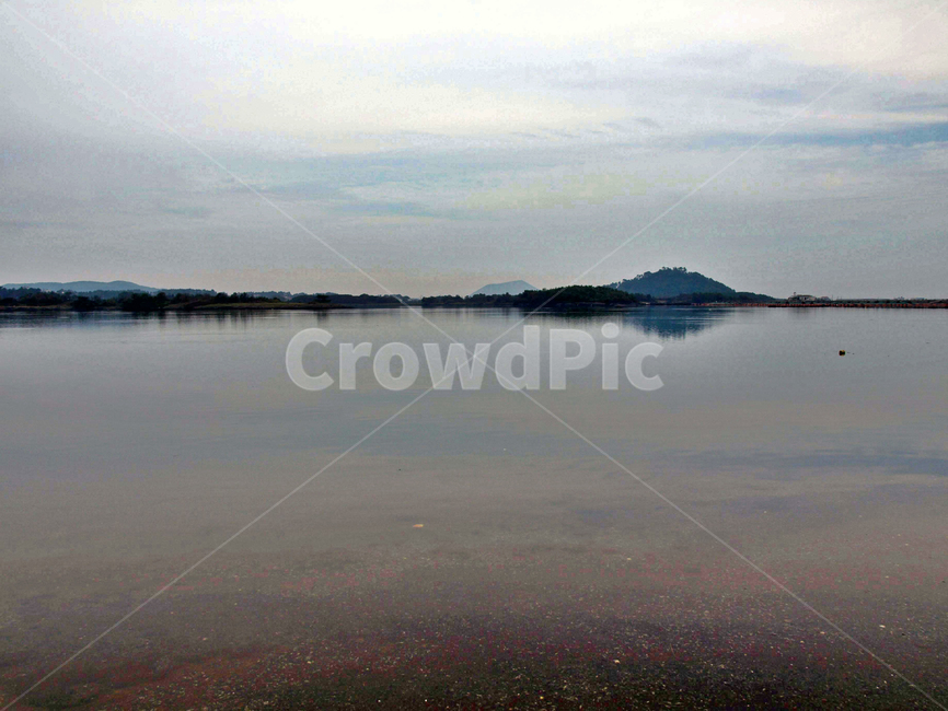 내수면,늪지대,올레2코스,제주,서귀포시,보,둑,자연,풍경,nature,landscape,outdoors,옥외,land,땅,water,물,shoreline,해안선,ocean,대양,sea,바다