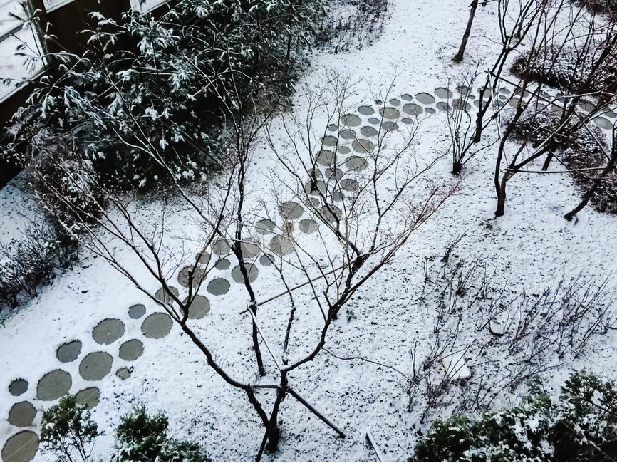 겨울,눈,자국,화이트,스노우,겨울,계절,winter,season