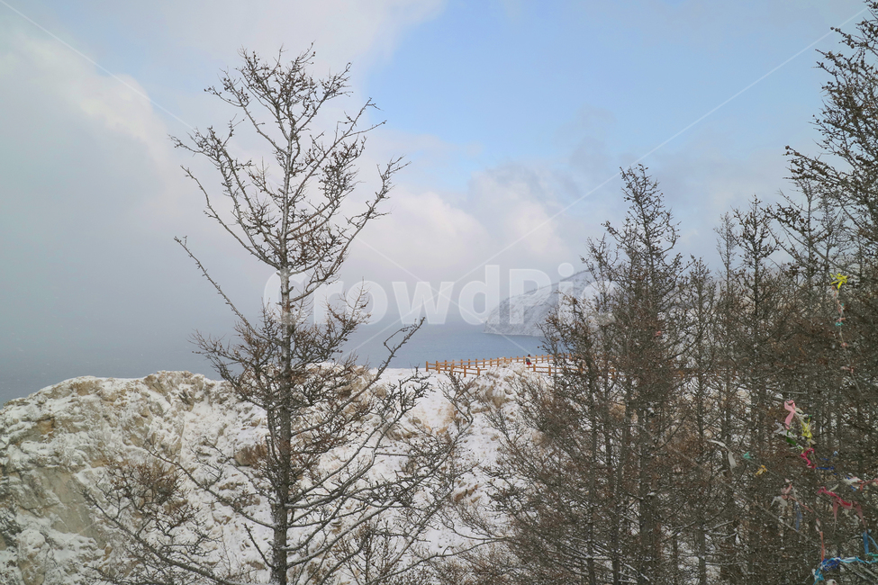 러시아,이르쿠츠크,알혼섬,바이칼호수,나무,자연,겨울,겨울풍경,눈,rusia,irkutsk,lakebaikal,baikal,tree,winter,snow,nature