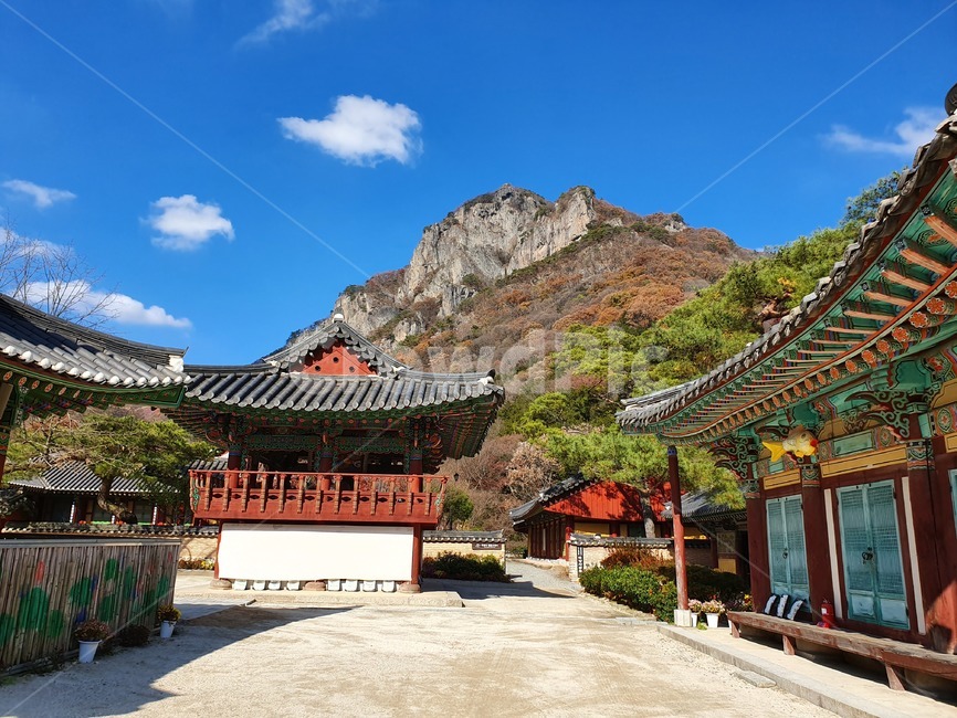 백양사,절,장성백양사,가을하늘,temple,한국전통,한국문화,korean traditional,korean culture,종교,신앙,religion,belief,faith