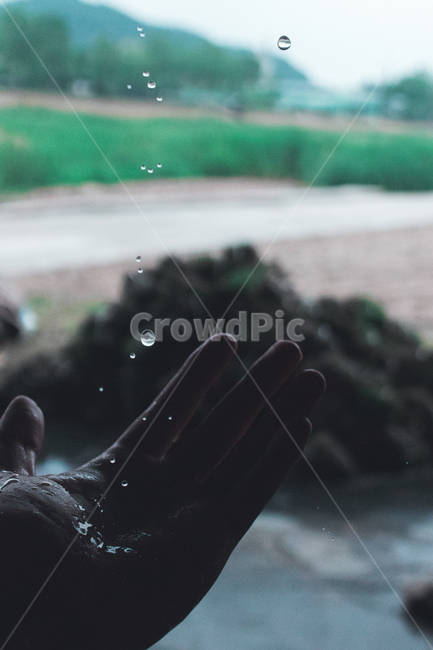 손,비,빗방울,물방울,손바닥,어둠,palm,hand,rain,raindrop,water,waterdrop,dark,사람,인물,인간,human,person,신체일부,몸,body,감성,sensible,feeling