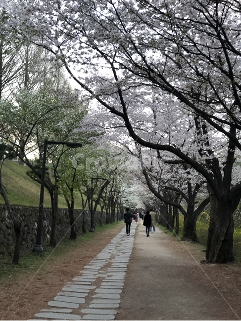 human,인간,person,사람,옥외,정원,garden,outdoors