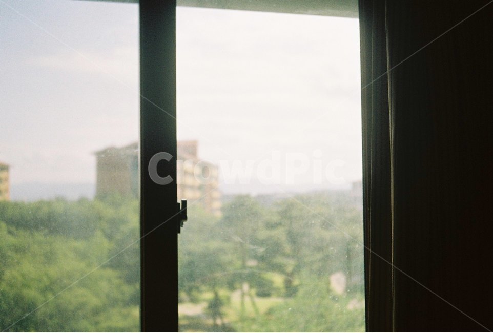 창문,풍경,빛,녹색,필름,필름카메라,감성,sensible,feeling,인테리어,실내디자인,interior design