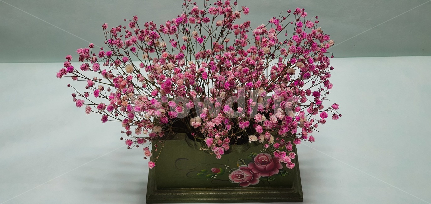 안개꽃,분홍,핑크,드라이플라워,babysbreath,plant,식물,flower,blossom,꽃