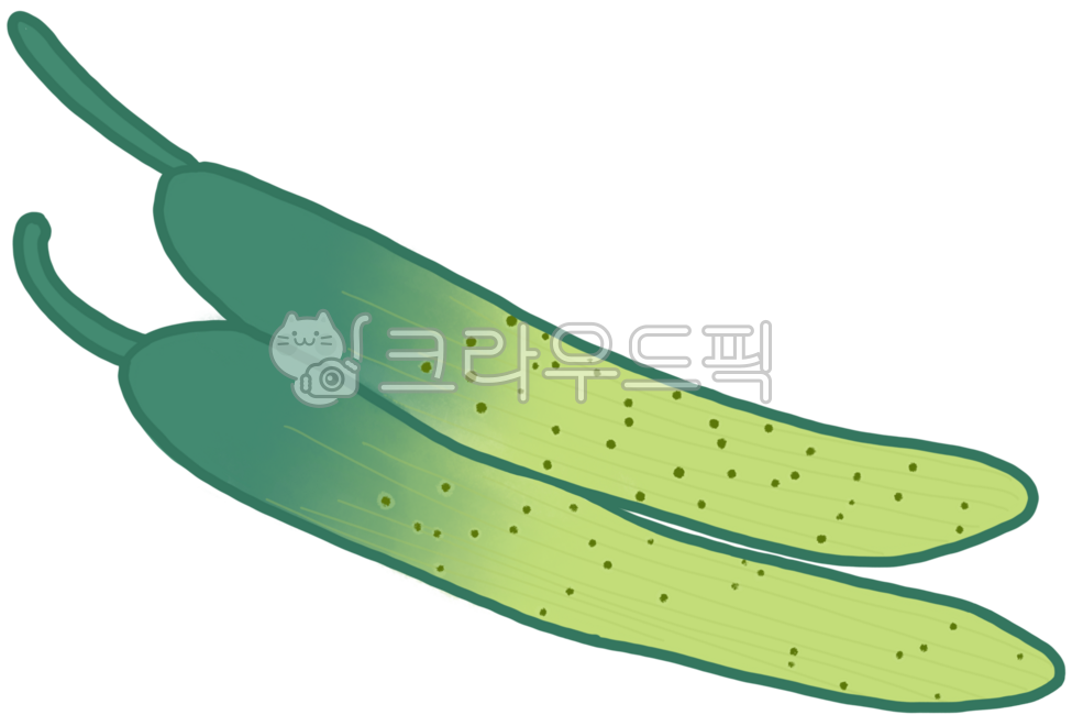 Cucumber,vegetable,greens,cucumber illustration,hand drawing,ingredients