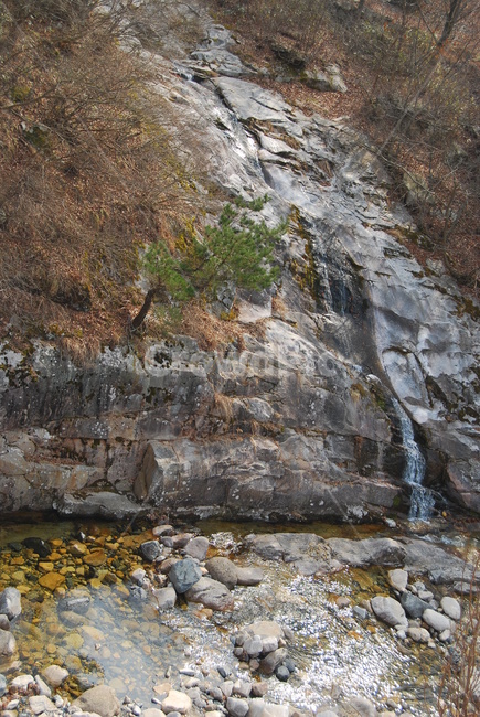 나무,돌,물,자연,휴양지,자연,풍경,nature,landscape,water,outdoors,옥외,river,강