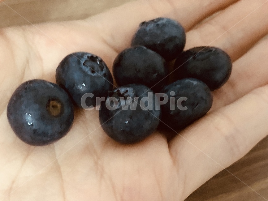 블루베리,베리,과일,손,후식,간식,여름,과즙,blueberry,여름과일,제철과일,berry,fruit,hand,dessert,summer,juice