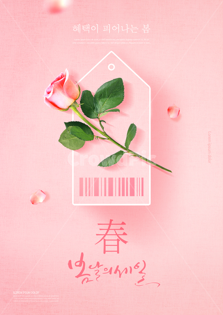 장미꽃,장미,바코드,가격표,태그,꽃잎,캘리그라피,봄,쇼핑,꽃,이벤트,세일,할인,봄맞이,봄,계절,spring,season,쇼핑,shopping,그래픽,일러스트레이션,graphic,illustration,캘리그라피,손글씨,calligraphy,plant,식물,rose,flower,blossom,petal