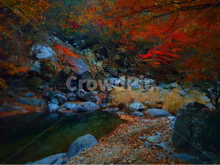 물,자연,nature,나무,단풍,계곡,가을,가을,계절,fall,autumn,season