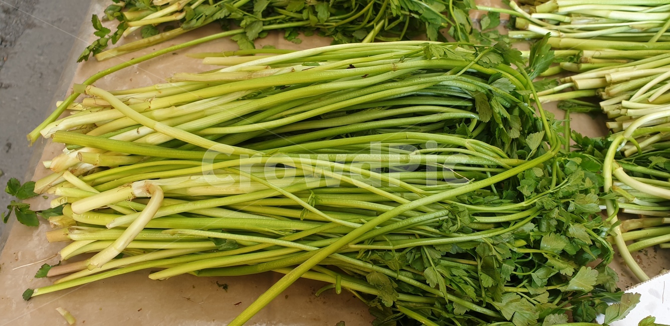 미나리,초록색,채소,시장,마켓,vegetable,음식,식재료,요리,food,cook,meal,dishes,food reserves,채소,야채,vegetables