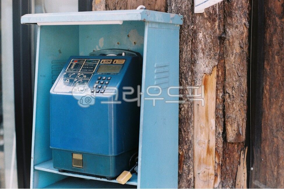 공중전화기,전화기,전화박스,고물,나무