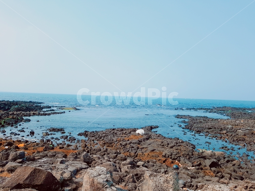 바다,제주도,바닷가,청량,해안,돌