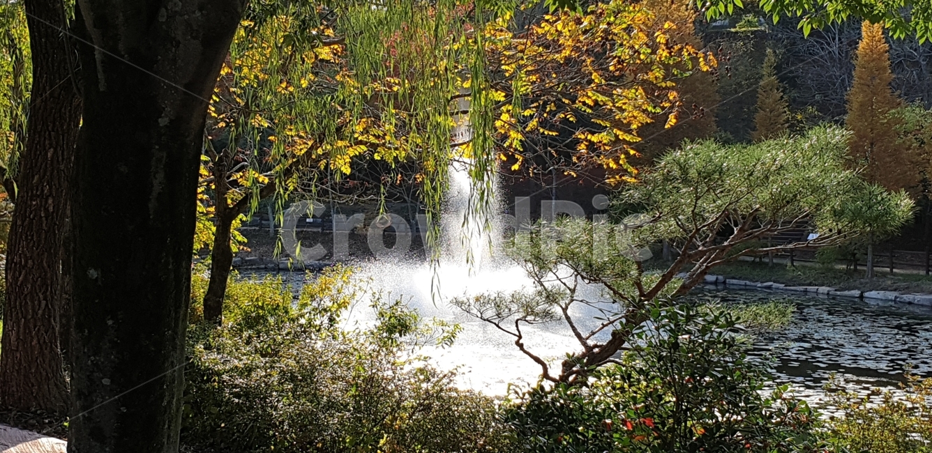 수목원,가을,분수,풍경,변화