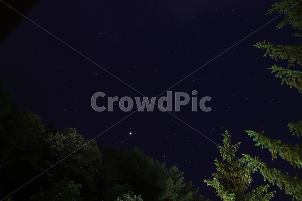 nature,자연,숲,woods,stars,night,밤,야경,밤,풍경,nightscape,night,landscape,outdoors,옥외