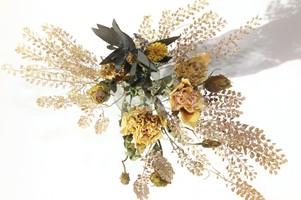 brown,closeup,bunch,dead,death,decoration,dry,flora,floral,flower,green,leaf,natural,nature,plant,white,yellow,갈색,브라운,노란,그린,노란색,녹색,말린꽃,꽃,꽃다발,말린,드라이,드라이플라워,잎,나뭇잎,잎사귀,식물,자연,탑앵글,탑뷰,꽃,flower