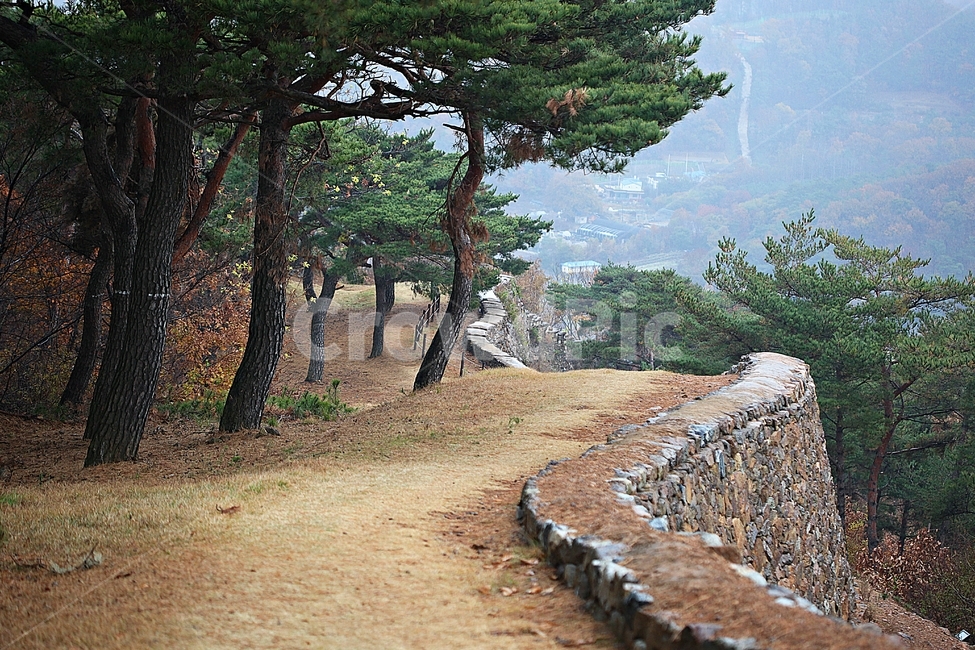 전등사,성,성곽,단풍,낙엽,산성,길,둘레길,숲,숲길,담,돌담,가을,자연,풍경,벽,방어벽,돌,나무,식물,가을,계절,fall,autumn,season,자연,풍경,nature,landscape